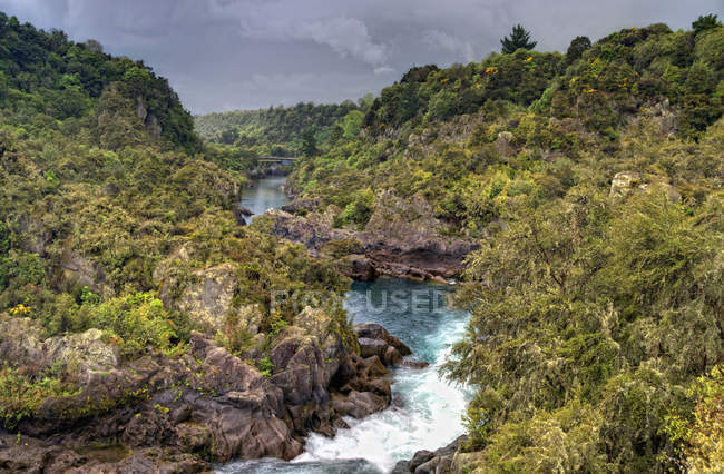 Río Waikato corriendo a través del paisaje - foto de stock