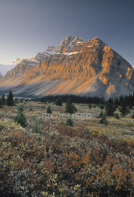 Mount Crowfoot At Bow Summit — Stock Photo