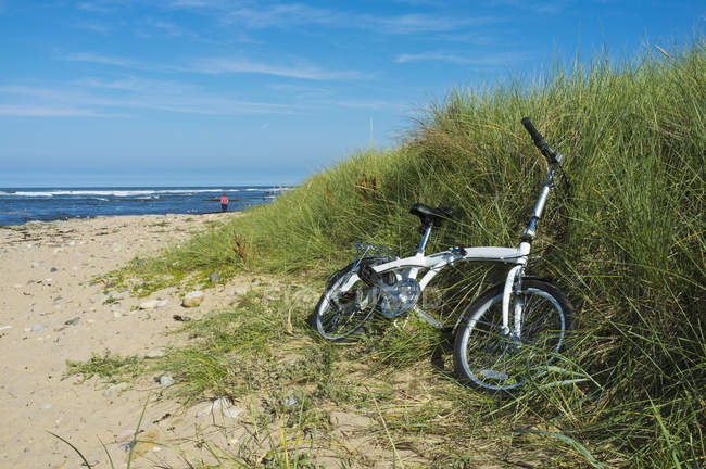 Ein Fahrrad liegt im langen Gras — Stockfoto