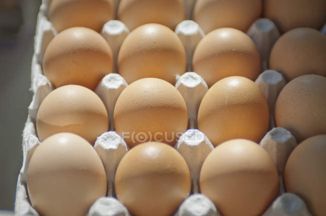 Ovos castanhos em uma caixa — Fotografia de Stock