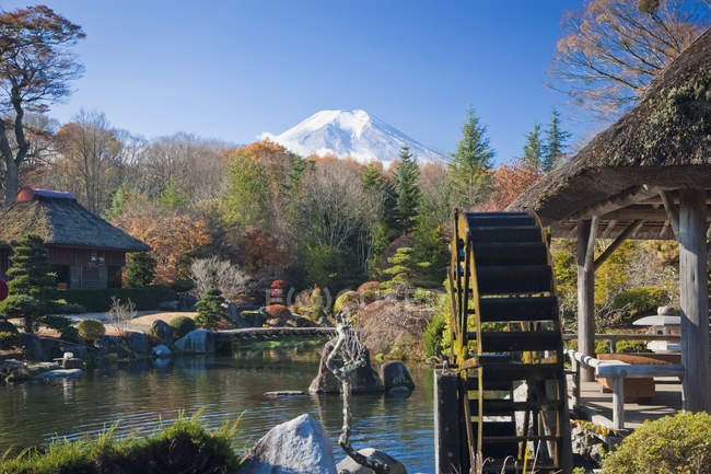 Гора Фіджі від японський сад — стокове фото