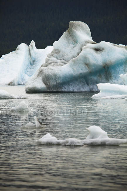 Icebergs flutuando na baía — Fotografia de Stock