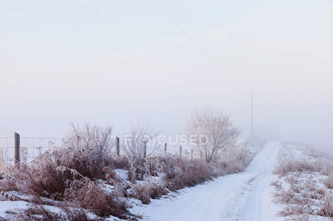 Сніг покритий сільською дорогою — стокове фото