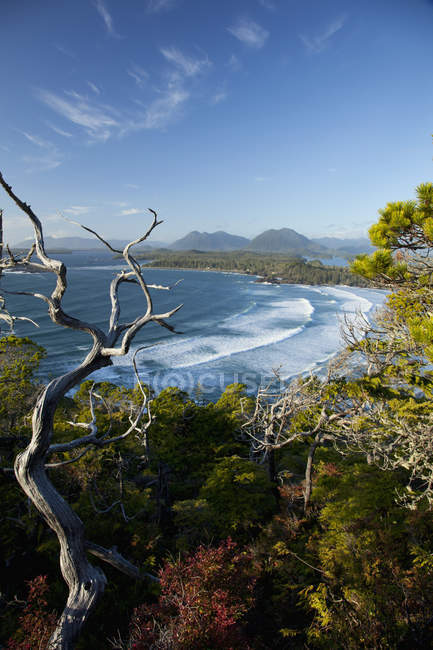 Wavy water with trees — Stock Photo
