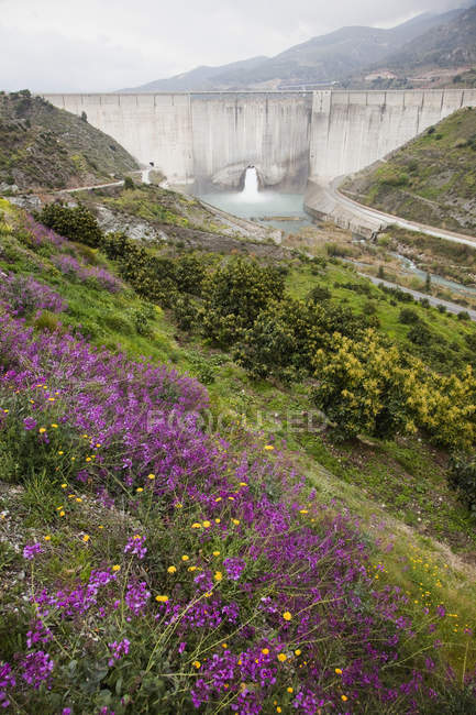 Barragem de água e flores silvestres — Fotografia de Stock