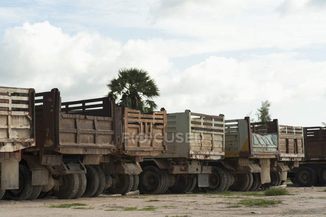 Camiones viejos alineados - foto de stock