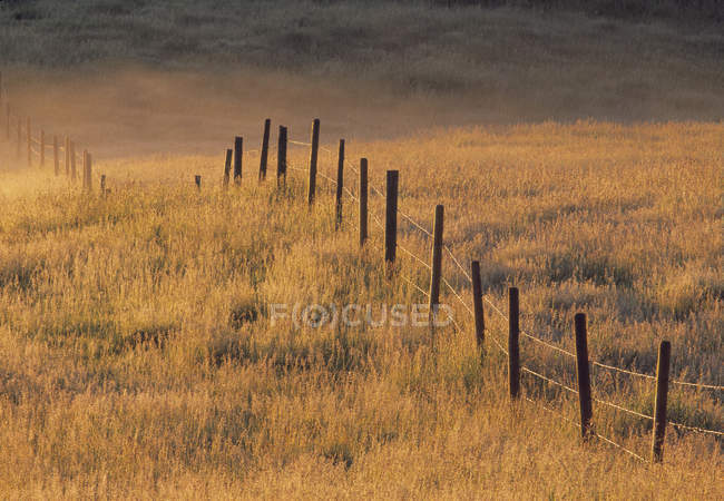 Fence In Pasture Near Cochrane — Stock Photo