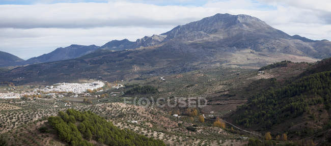 Village dans le parc Sierra De Las Nieves — Photo de stock