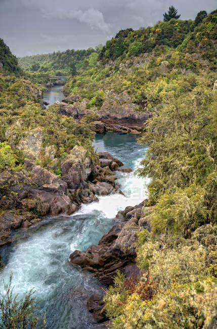 Rapides de la rivière Waikato — Photo de stock
