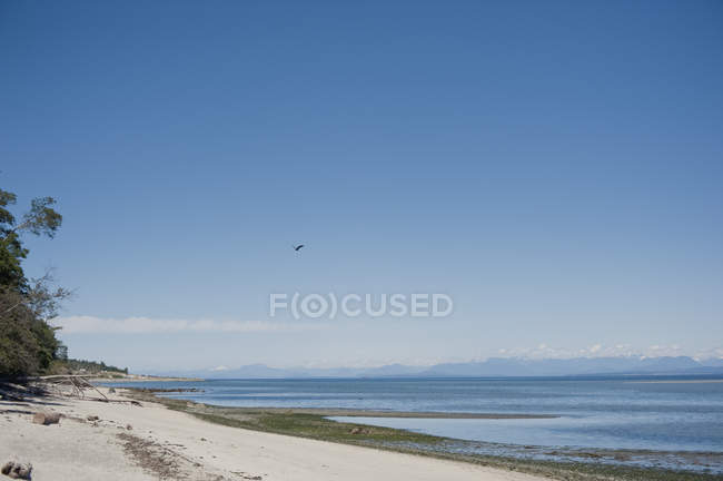 Praia de areia contra a água — Fotografia de Stock