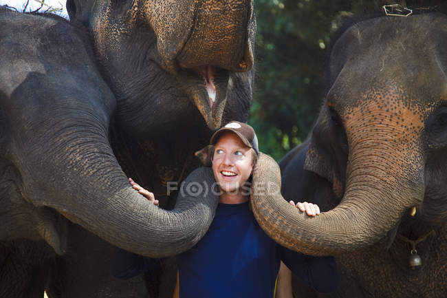 Um homem posa com três elefantes; Chiang Mai, Tailândia — Fotografia de Stock