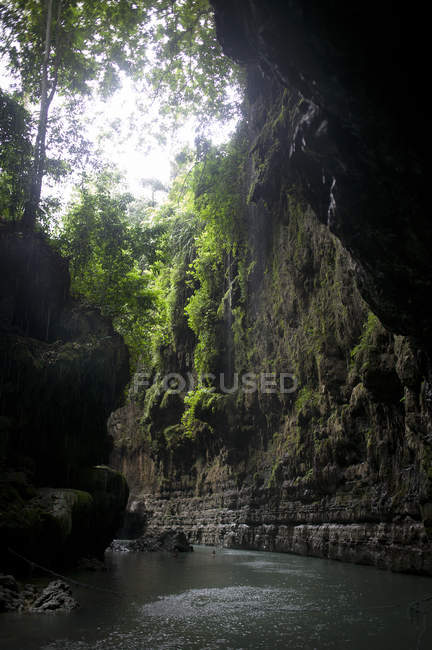 Grüne Schlucht Pangandaran Java — Stockfoto