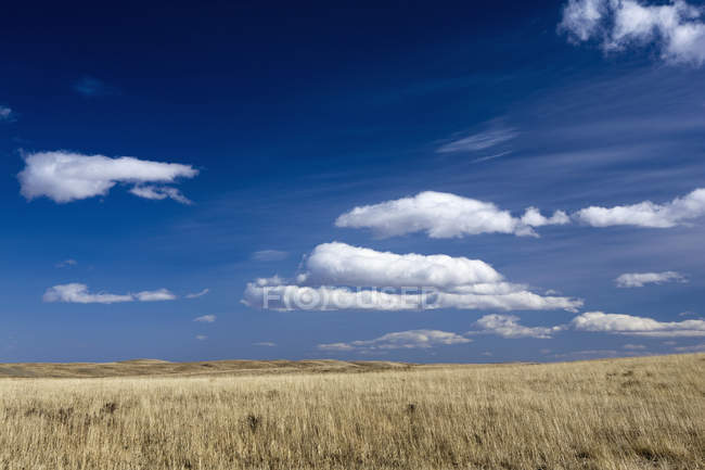 Campo de hierba seca con Rolling Hills - foto de stock