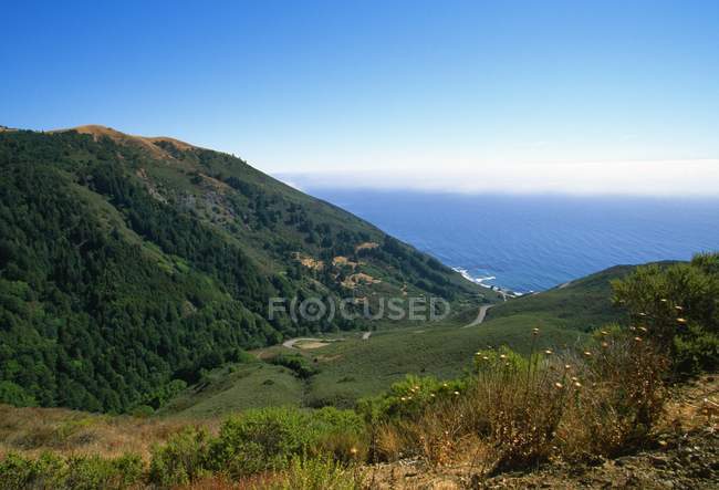Hillside com oceano à distância — Fotografia de Stock