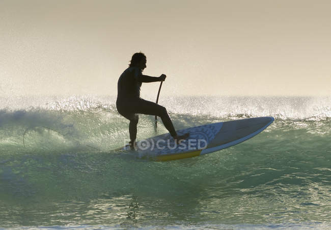Surfista extremo adulto em wakeboard no mar — Fotografia de Stock