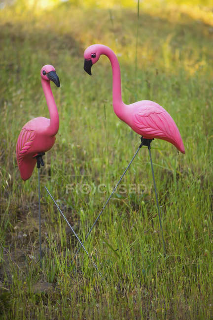 Два розовых пластиковых фламинго — стоковое фото