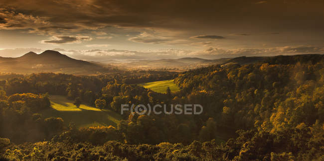 Sunlight Cast On Trees And Mountains — Stock Photo