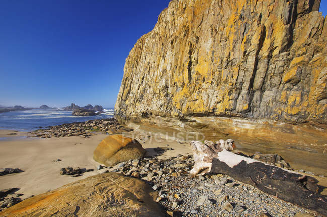 Marée basse au site récréatif d'État de Seal Rock — Photo de stock