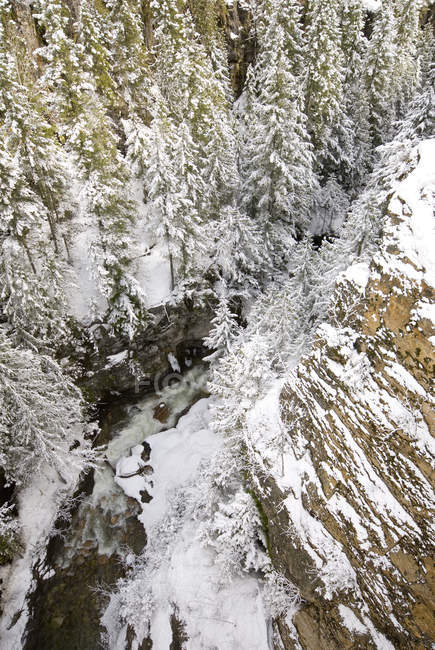 Gola del fiume nevoso — Foto stock