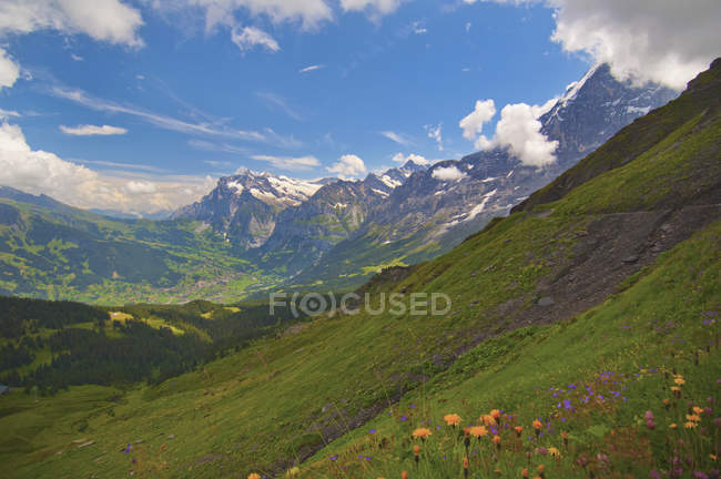 Вид на холмы и горы — стоковое фото
