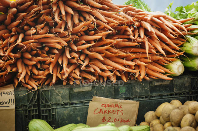Carottes biologiques au marché — Photo de stock
