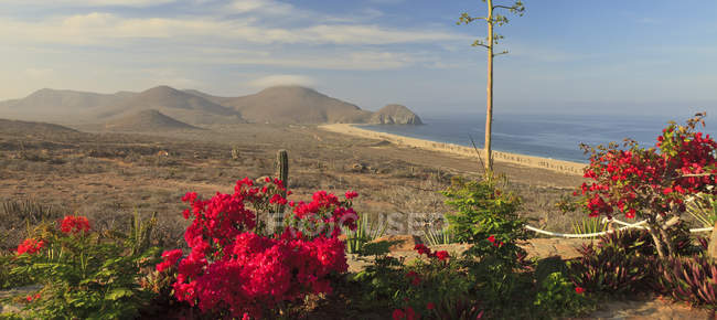 Видом на вершині пагорба поблизу Todos Сантос — стокове фото