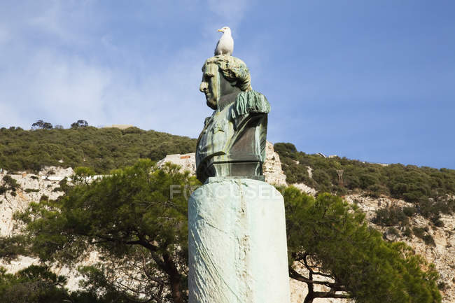 Gaviota encaramada en monumento - foto de stock