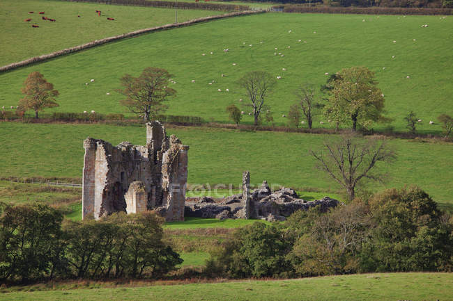 Antiguo castillo en ruinas - foto de stock