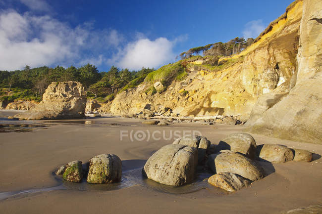 Pedras e penhascos em maré baixa ao longo da costa — Fotografia de Stock