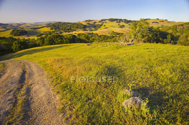 Les collines de la Californie — Photo de stock