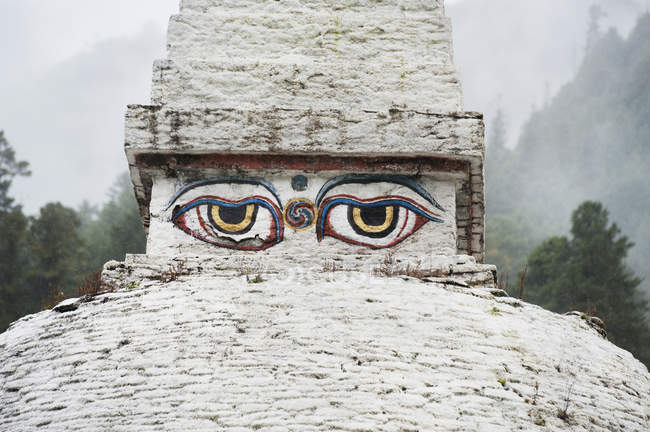 Buddha-Auge in chendebji chorten — Stockfoto