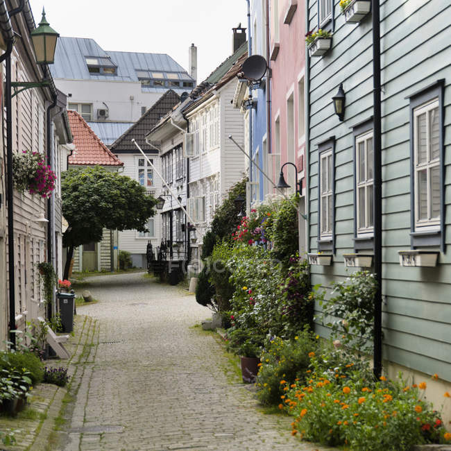 Path Leading Between Rows Of Houses — Stock Photo