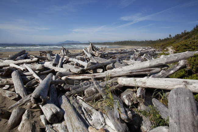 Mucchi di legname e tronchi alla spiaggia di Wickaninnish — Foto stock