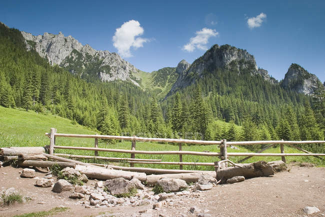 Vue sur la montagne, montagnes Tatra — Photo de stock
