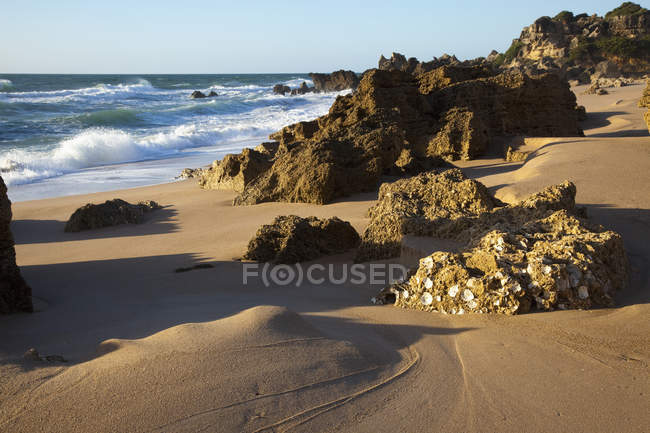 Playa Rocosa; Chiclana De La Frontera España - foto de stock