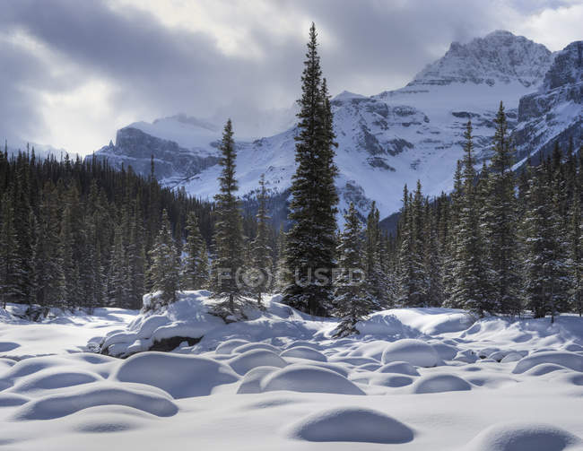 Mount Sarbach And Mistaya River — Stock Photo