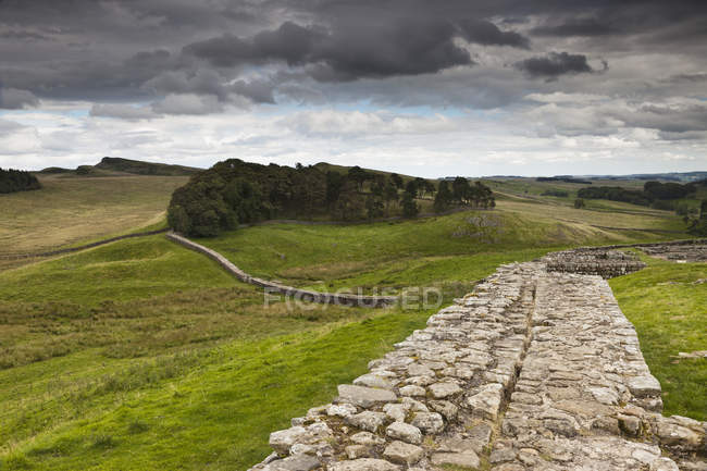 Muro de Adriano; Northumberland, Inglaterra - foto de stock