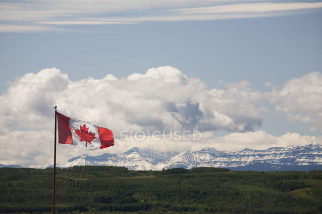 Bandera canadiense soplando en el viento - foto de stock