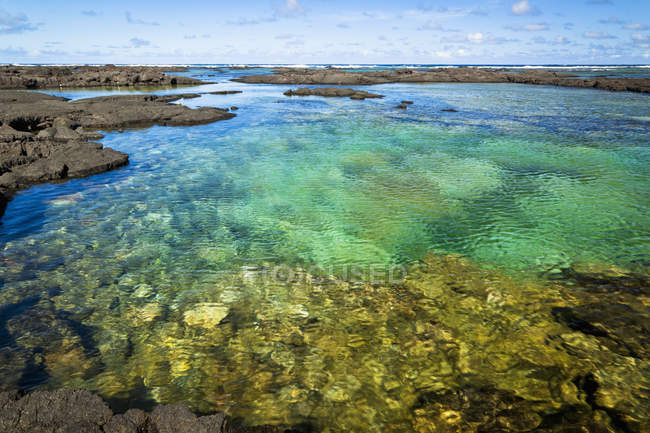 Piscina de marea verde tropical - foto de stock