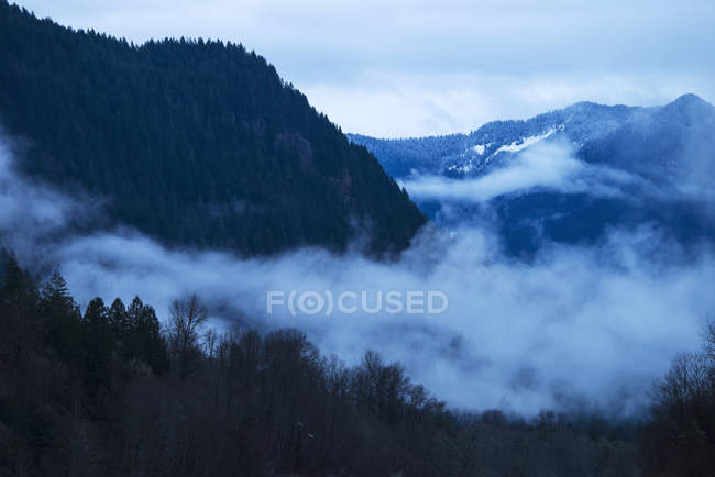 Scenic view of fog — Stock Photo