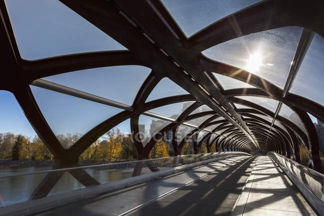 Puente cilíndrico con explosión de sol y árboles - foto de stock