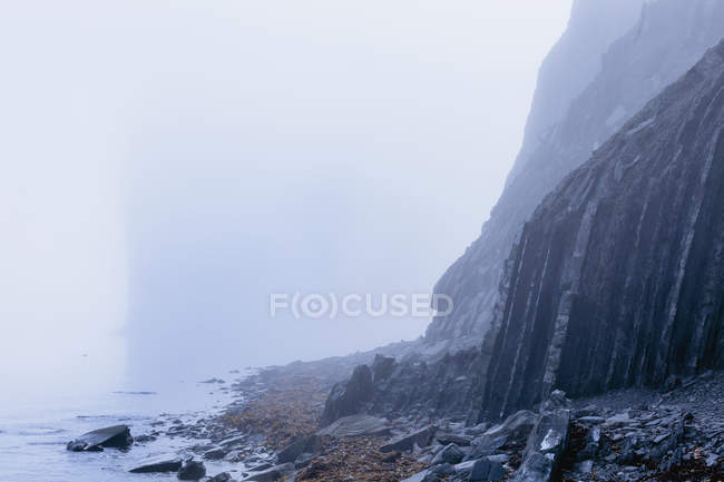 Falaise rocheuse dans le brouillard — Photo de stock