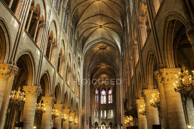 Catedral notre-dame — Fotografia de Stock