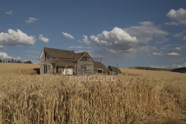 Ein alter hölzerner Bauernhof — Stockfoto