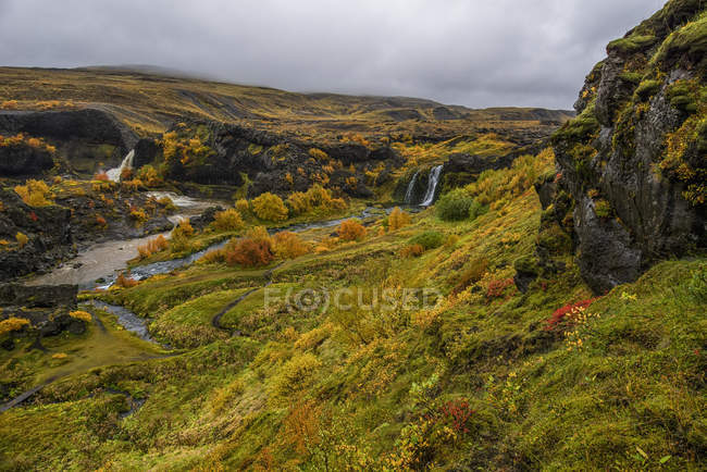 Grupo de cachoeiras sobre campo verde — Fotografia de Stock