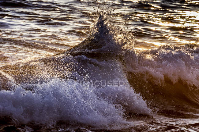 Ola estrellándose en la costa de Kona - foto de stock
