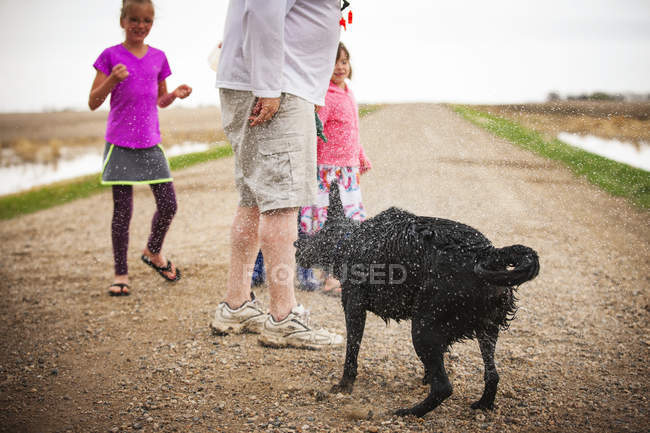 Un perro se sacude para rociar el agua de su piel mientras camina con una familia; Saskatchewan, Canadá - foto de stock