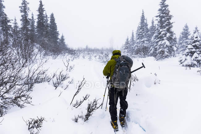 Hombre esquiador en ventisca invernal en Alaska Range. Alaska, Estados Unidos de América - foto de stock