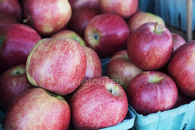 Manzanas frescas en el puesto de granja - foto de stock