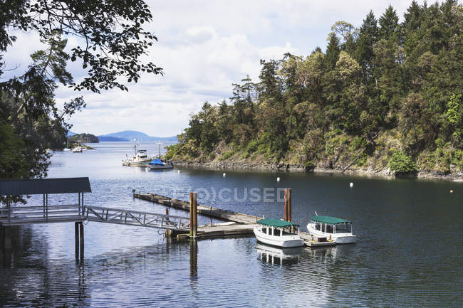 Boats in Butchart Cove — Stock Photo